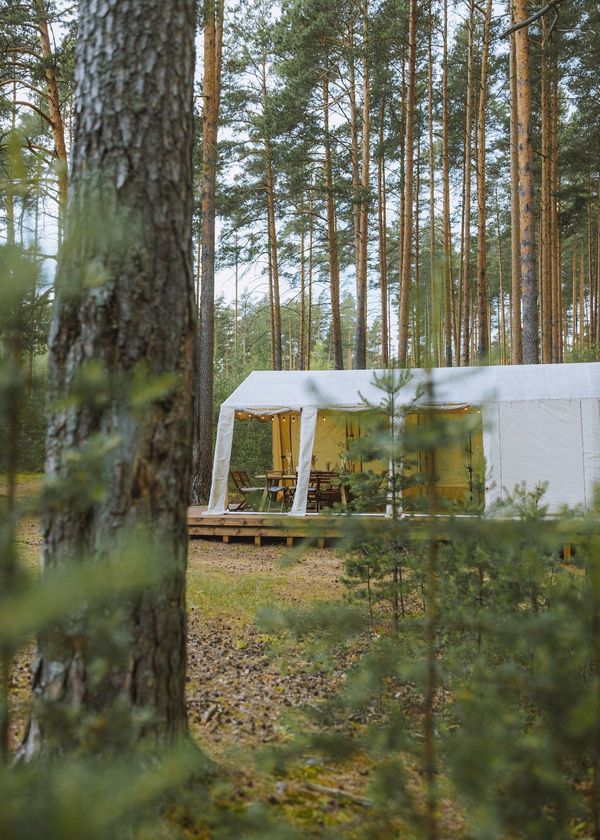 Heading to the Great Outdoors? The 5 Best Cabin Tents to Set You Up in Style