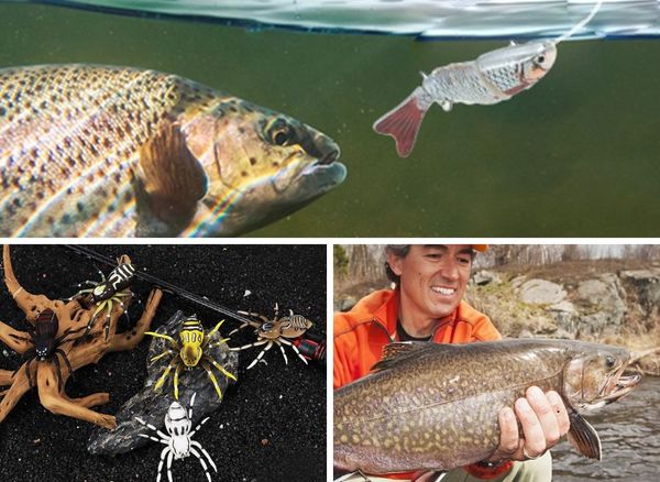 The Top 7 Best Fishing Lures: Hook the Biggest Catch of the Season