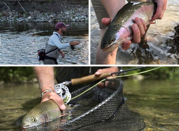 7 Reels of Magic: Unveiling the Best Fishing Line for Trout