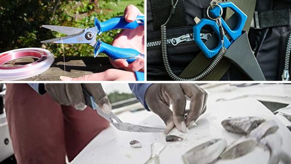 7 Best Fishing Scissors: Cut the Perfect Line Every Time